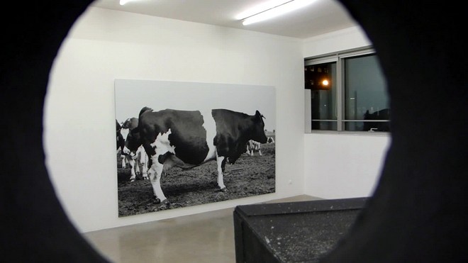 exposition, galerie, air de paris, pierre joseph, jef geys, maintenant, vincent romagny, francis mary, fluxus, endless photographs