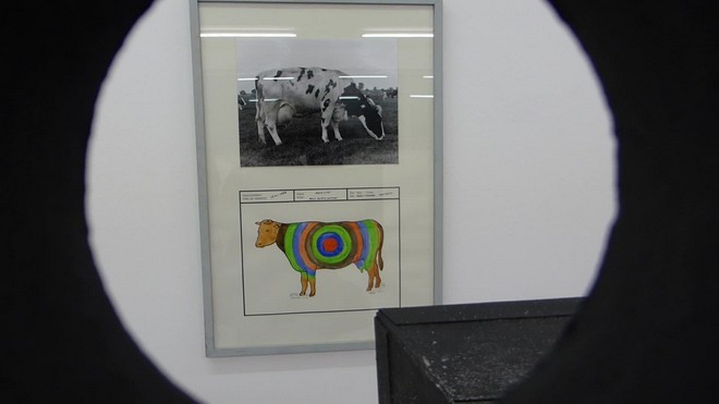 exposition, galerie, air de paris, pierre joseph, jef geys, maintenant, vincent romagny, francis mary, fluxus, endless photographs