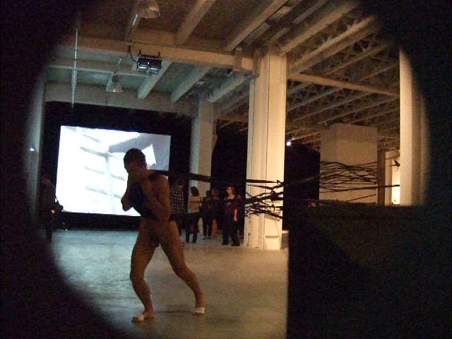 biennale de lyon, 2011, une terrible beauté est née, victoria noorthoorn, la sucrière, fondation bullukian, musée d'art contemporain de lyon, usine t.a.s.e., veduta