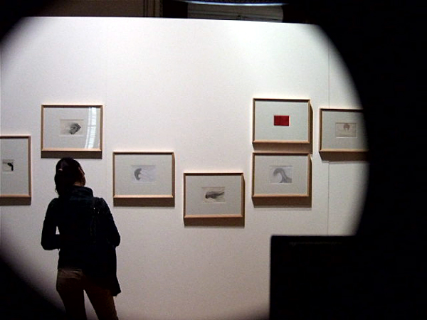 centre_culturel, calouste_gulbenkian, le_fil_conducteur, 2010, cam, ccc, leonor_nazaré