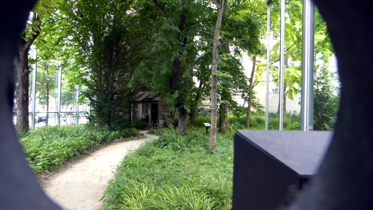 fondation cartier, art contemporain, le grand orchestre des animaux, bernie krause