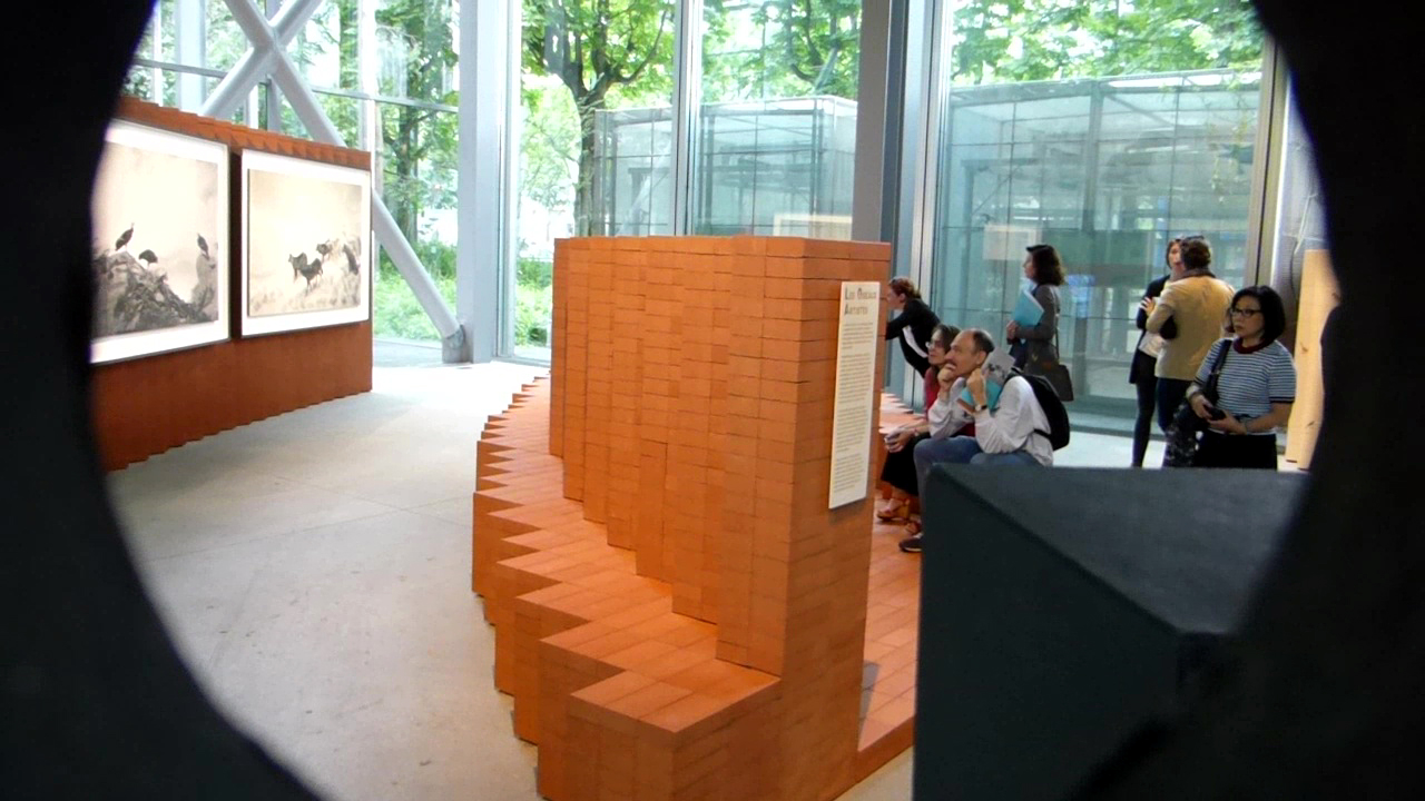 fondation cartier, art contemporain, le grand orchestre des animaux, bernie krause