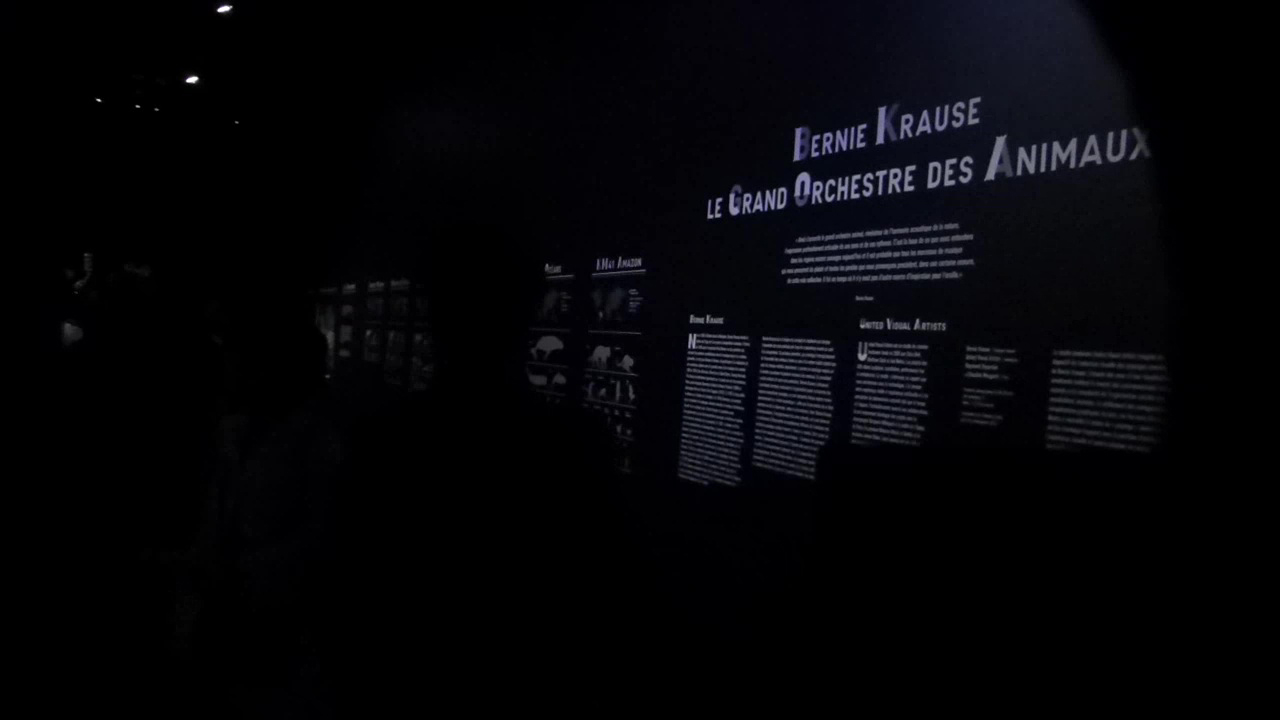 fondation cartier, art contemporain, le grand orchestre des animaux, bernie krause