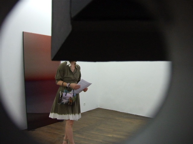 galerie art concept, dominique figarella, raphael hefti