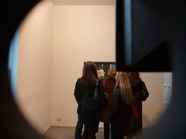 galerie yvon lambert, mircea cantor