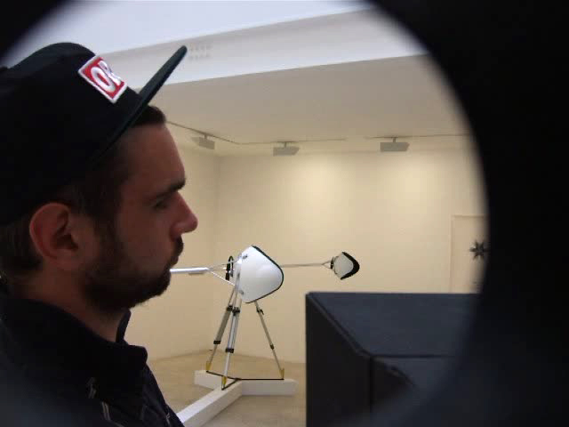 didier faustino, the wild things, galerie, michel rein, bambou, cca, kitakuyshu