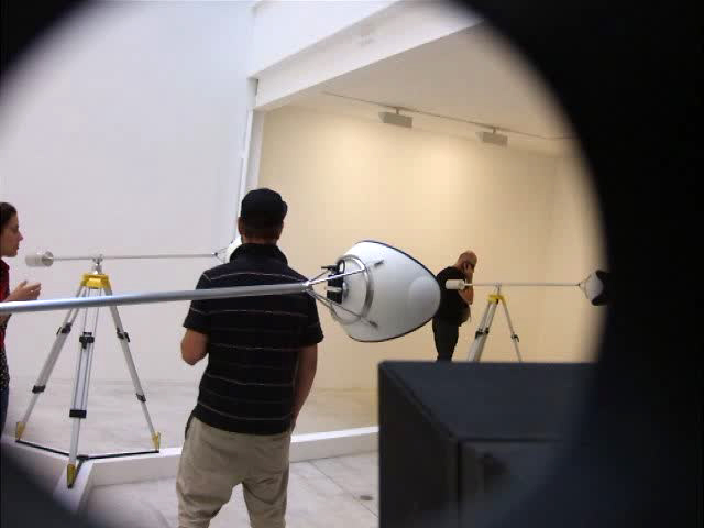 didier faustino, the wild things, galerie, michel rein, bambou, cca, kitakuyshu