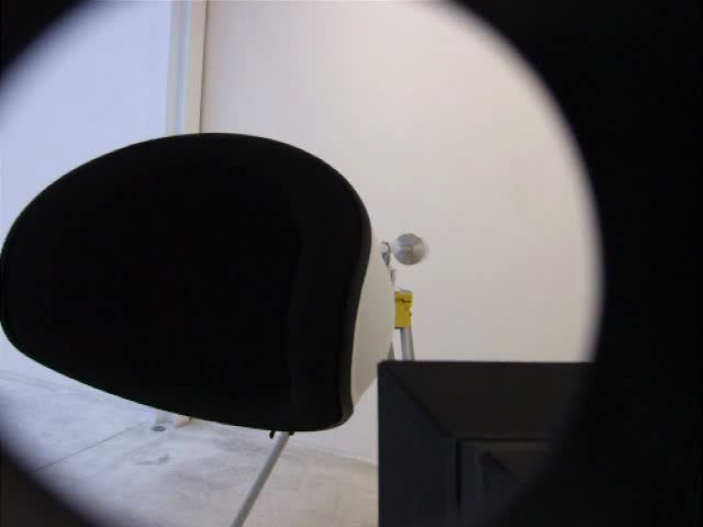 didier faustino, the wild things, galerie, michel rein, bambou, cca, kitakuyshu