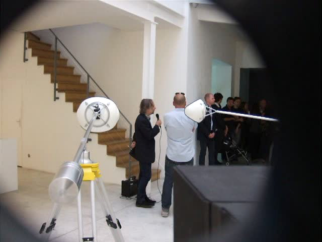 didier faustino, the wild things, galerie, michel rein, bambou, cca, kitakuyshu