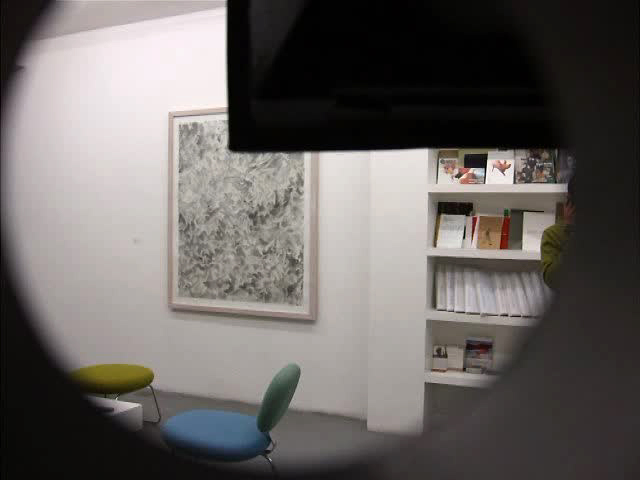 marie-jeanne caprasse, galerie polaris, christian lhopital, opening night